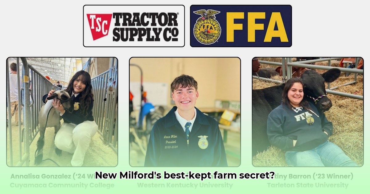 new-milford-ct-tractor-supply